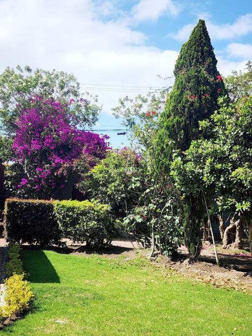Spain Style In Holiday home *